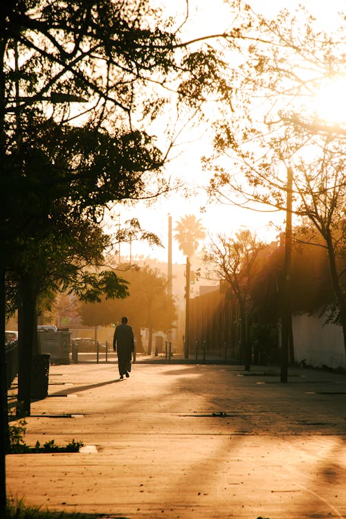 Bahagia dalam Langkah-Langkah Kecil di Tengah Kota